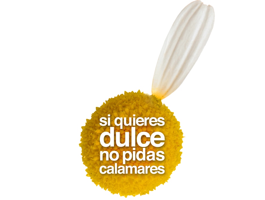 si-quieres-dulce-no-pidas-calamares-micromusical